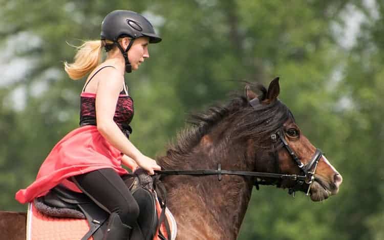 horse riding Casa de Requeixo Portugal