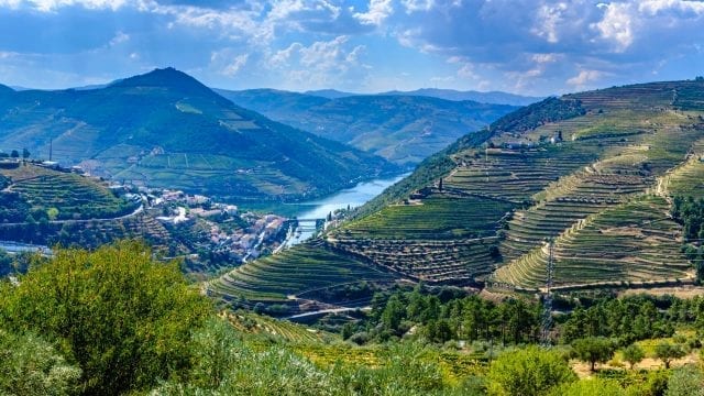 The Douro Valley: Everything You Wanted to Know For Your Visit