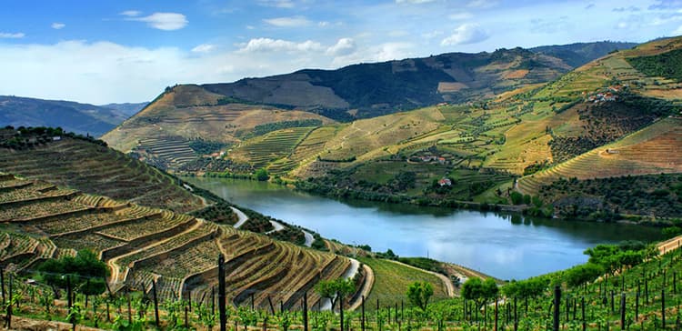 Douro valley Portugal
