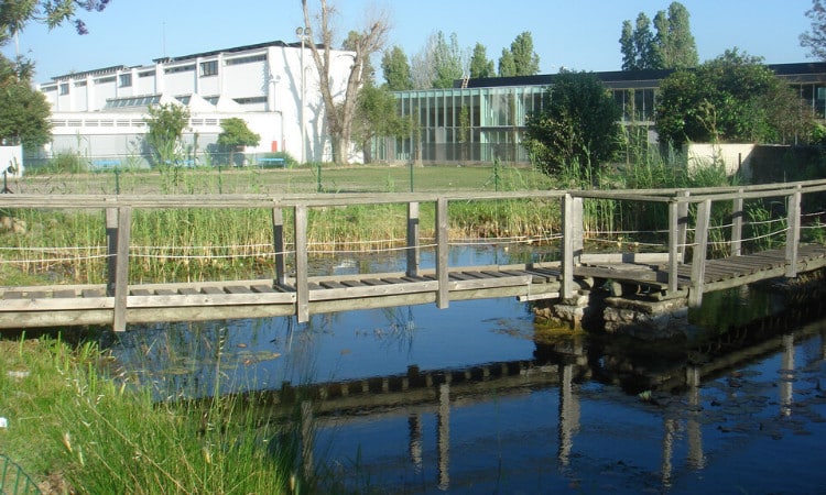 german school portugal