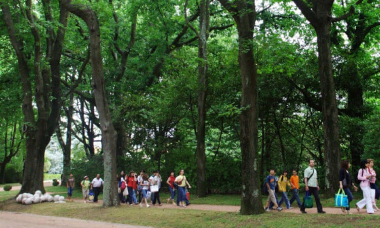 international schools porto