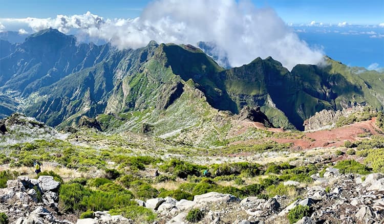 visit madeira website