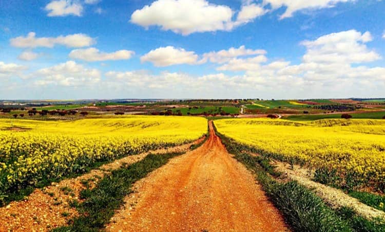 Alentejo Portugal