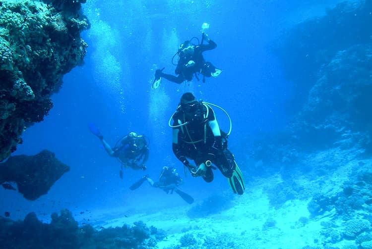 scuba diving Portugal