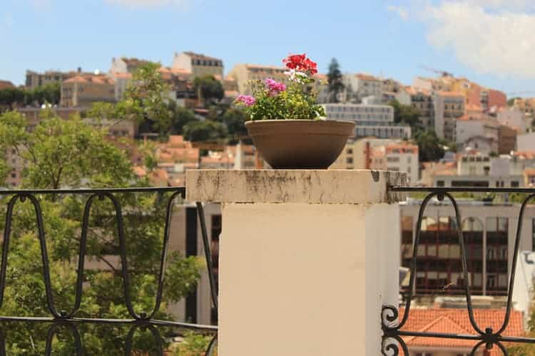 terrace Lisbon Portugal