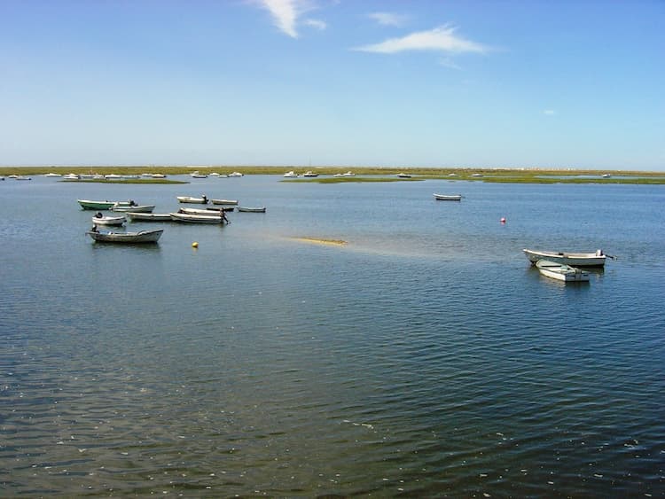 Faro Ria Formosa