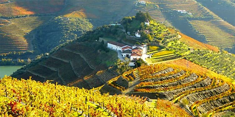 Quinta do Crasto Portugal