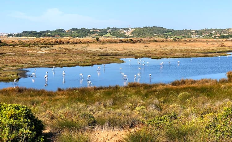 Alvor nature reserve Portugal