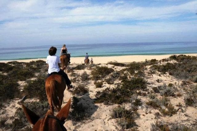 comporta-horseriding