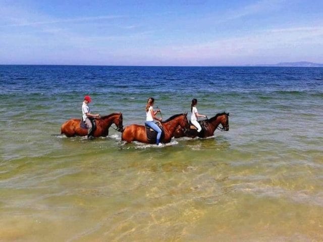 horse-ride-comporta