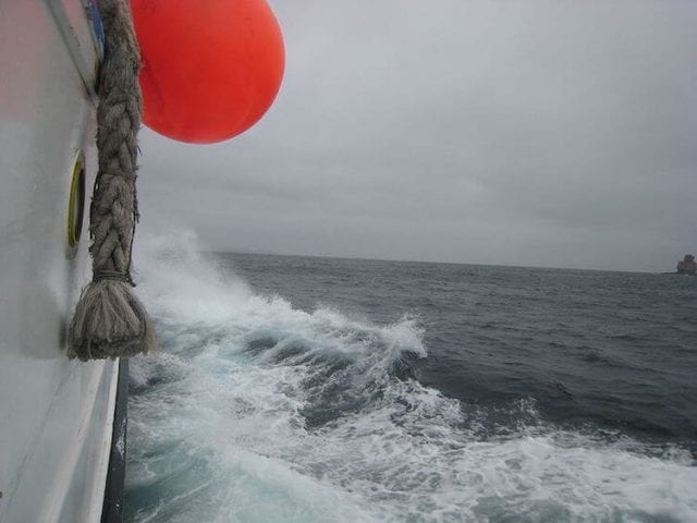 Berlengas Boat