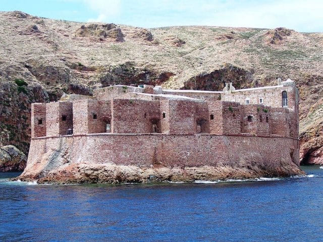 Berlengas Forte