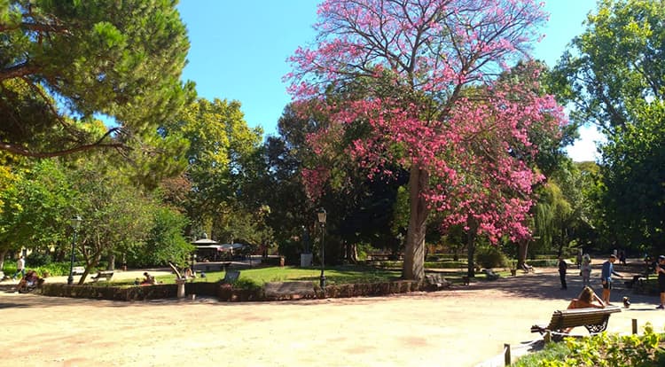 Jardim da Estrela Lisbon