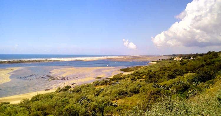 Ria Formosa Natural Park Portugal