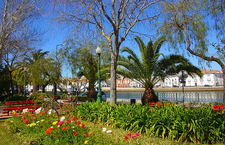 spring Tavira Algarve