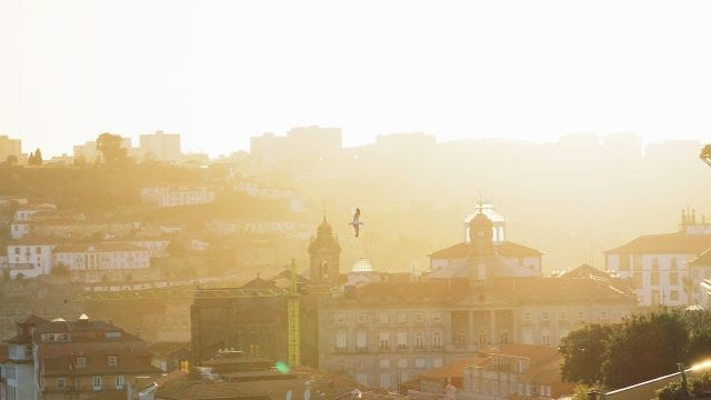 Study in Porto: Why You’ll Love Studying On Our Second Biggest City