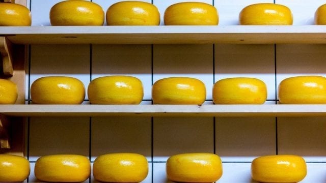 All about Portuguese Cheese