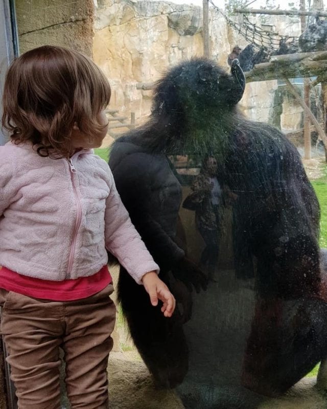 Lisbon zoo