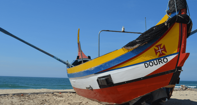 barco piscatorio em espinho