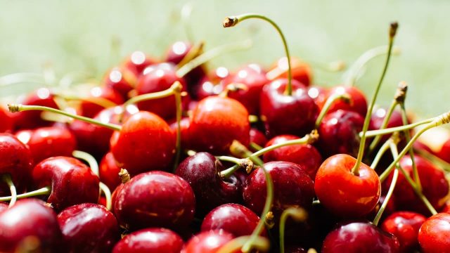 Fundão: Everything You Wanted to Know About the Cherry Capital