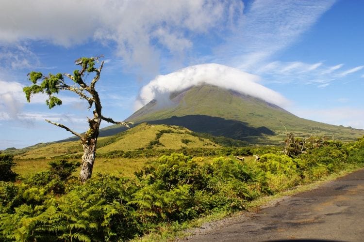 Montanha do Pico