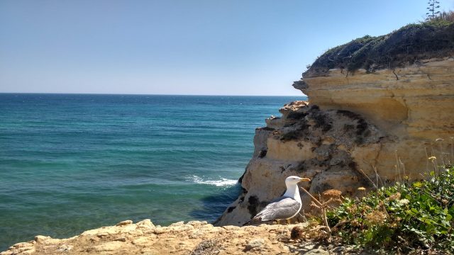 Armação de Pêra: A Traditional Fishing Town You Must Visit This Summer