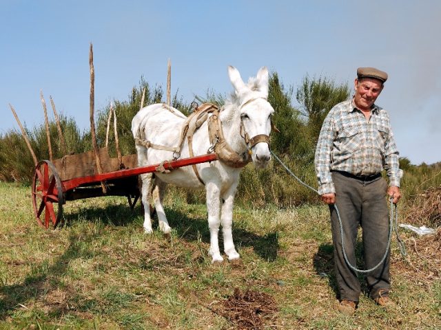 Montalegre villager