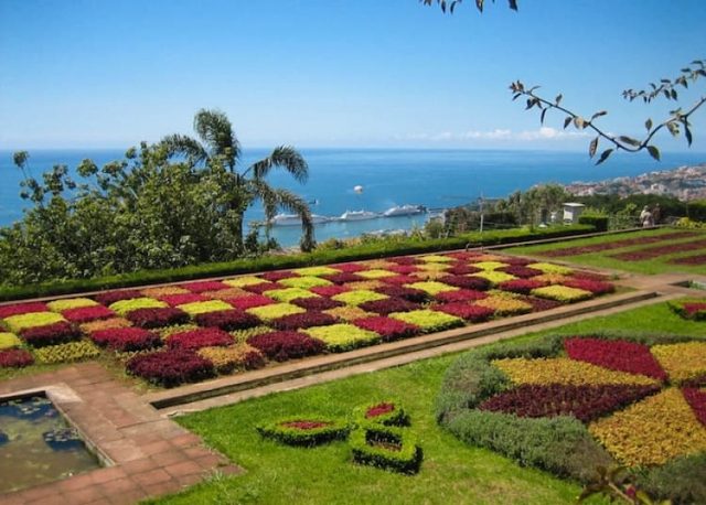 jardim botanico madeira