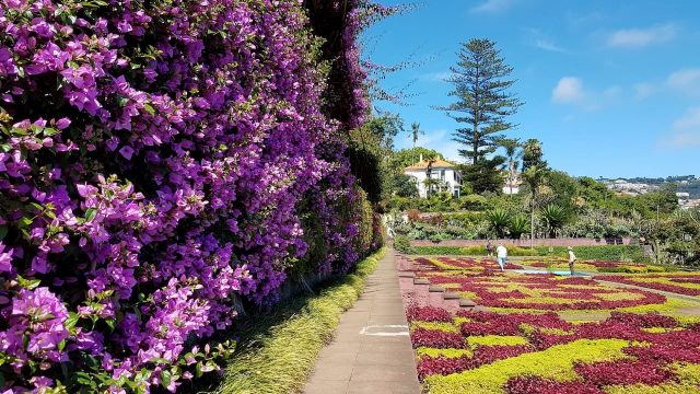 Best Souvenirs From Madeira, 11 Unique Gifts to Bring Home