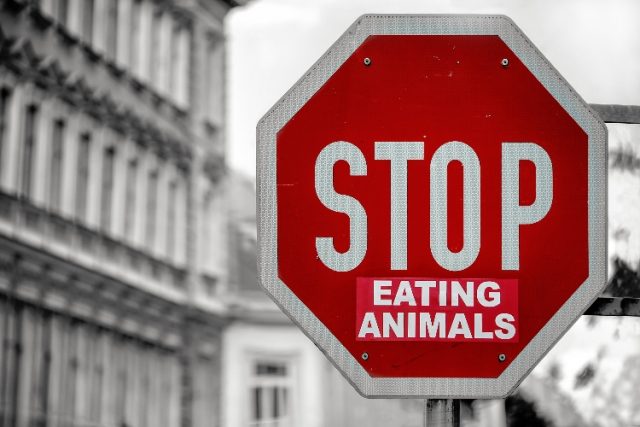 Stop eating animals