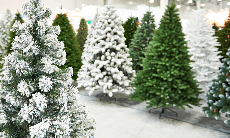 christmas trees