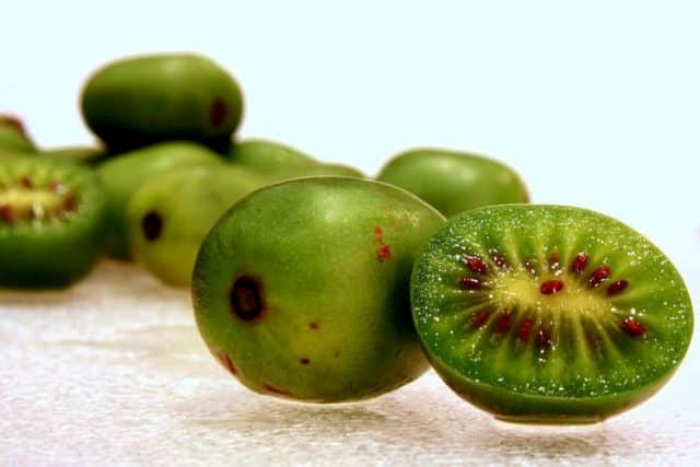 kiwi berry