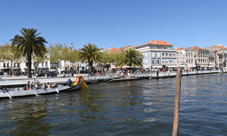 boats and tourists