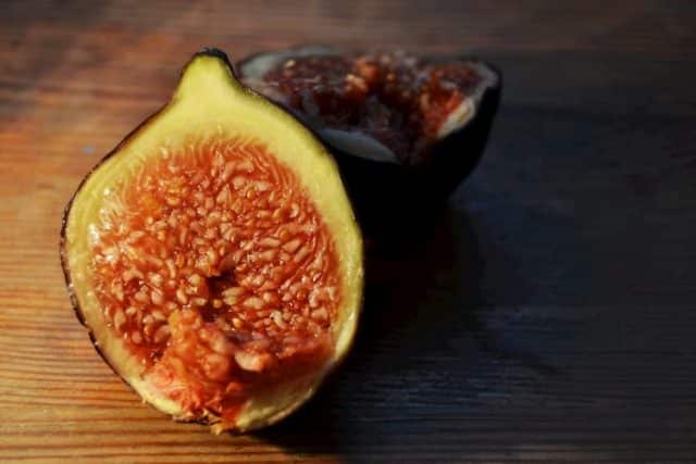 fig