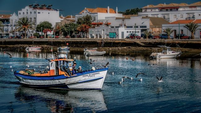 tavira boat