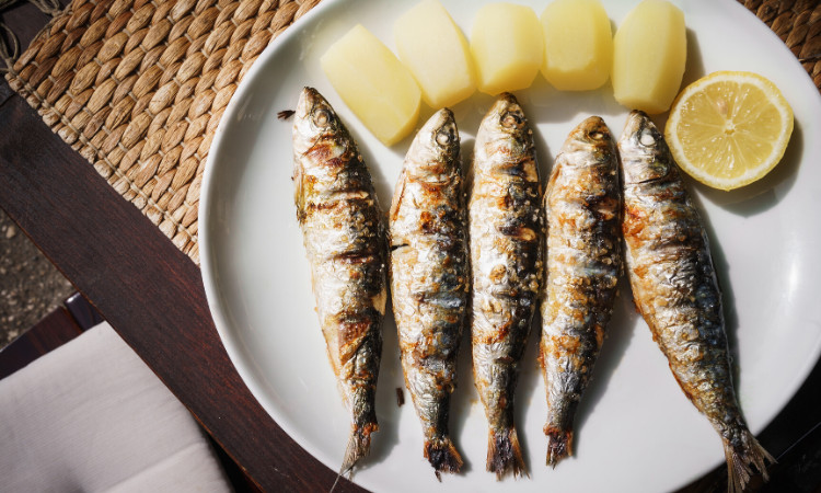 sardines portugal july